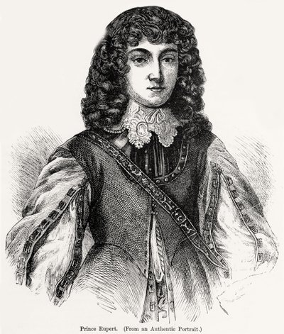 Prince Rupert from an Authentic Portrait by English School